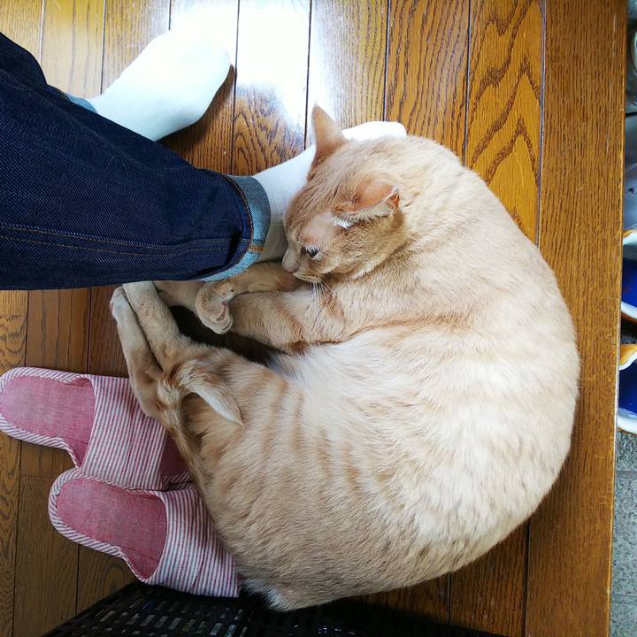 6bdd2882 a66b 45bc bc3d 000d54d895c1 1633141760100