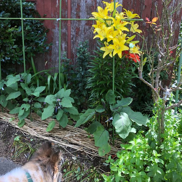 6bdd4e21 448e 4af8 beaa a0d16c4758dc 1528420518210