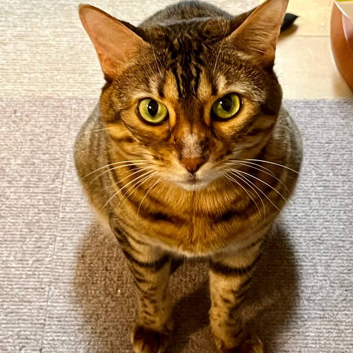 6bdd67bb d13f 41bf 99ba 5ec0515578d2 1657854437658