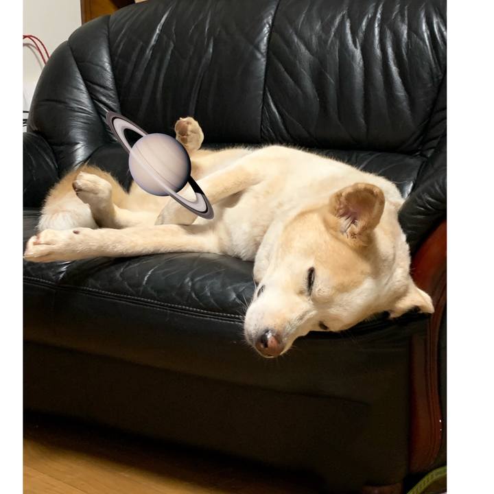 6bddafa0 7d93 45f9 a5e4 3856ce51f233 1625152138963