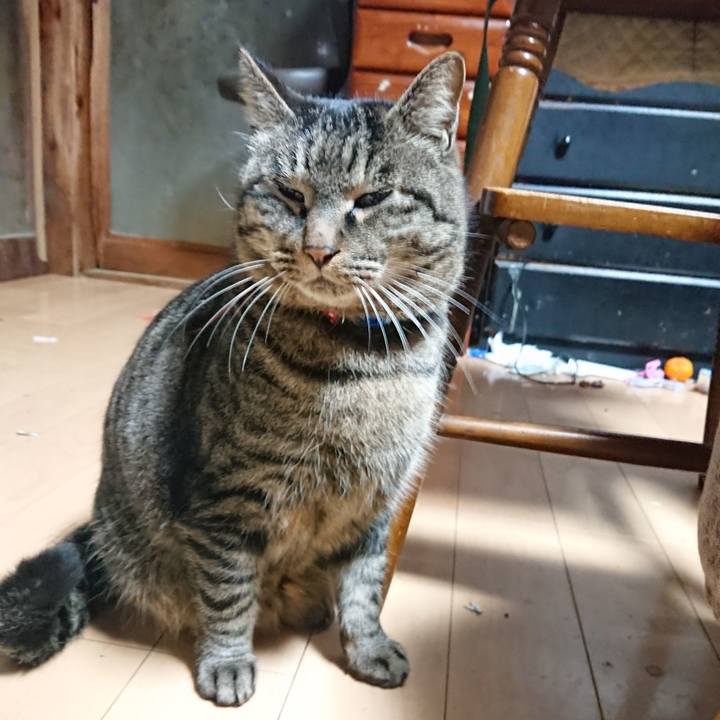 6bdddcdd af1b 4b98 9c9d 7b7b0d1647ff 1641588608897