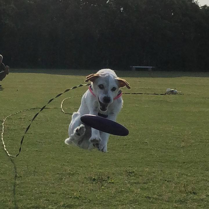 6bde04c6 685d 4a6d 8281 12c7f2bf438f 1529229566369