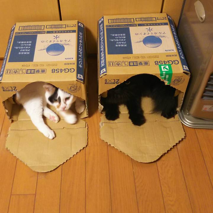 6bde0ab9 6a42 4052 96fe 46d7bbe907fc 1536243987544