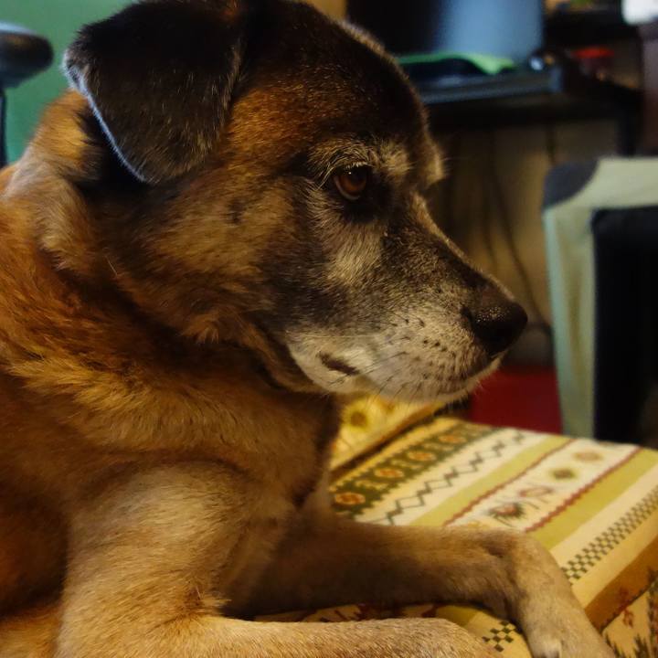 6bde0f20 c90a 4250 a47a c8845461ac2d 1651712462560