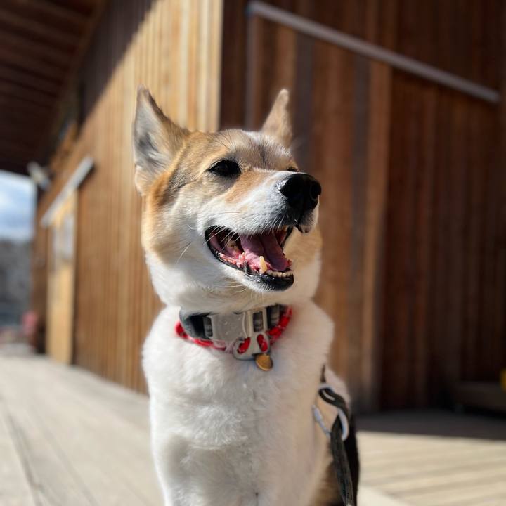 6bde1cc7 9047 43e1 a2bf 229f37bb47d8 1773206286622