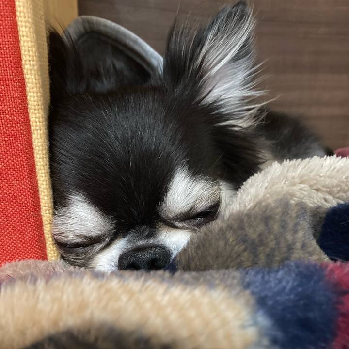 6bde2480 8cb2 4845 b391 152e9d7341ac 1703405156986