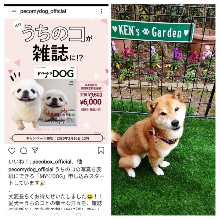 6bde35d8 220c 4478 8aa0 11bffc1cea14 1583790935176