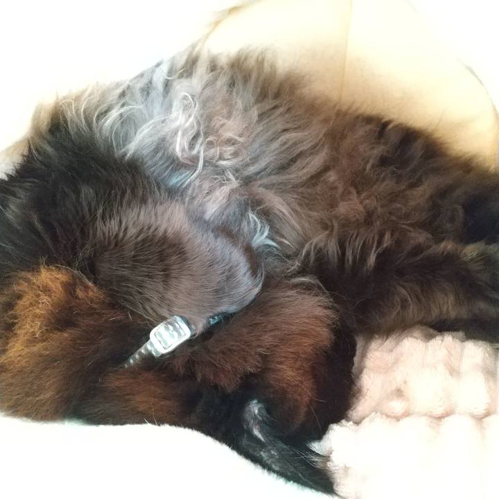 6bde39a2 fd66 49e9 9cb1 9a30737aaf0b 1644568209285