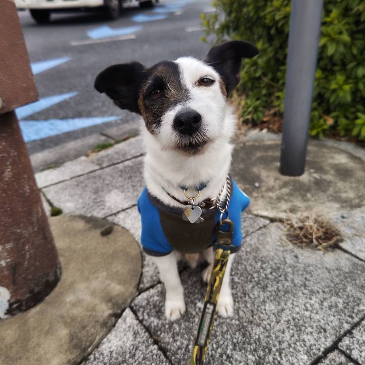 6bde3b95 df36 490f 885a b74c8955d36c 1742423904588