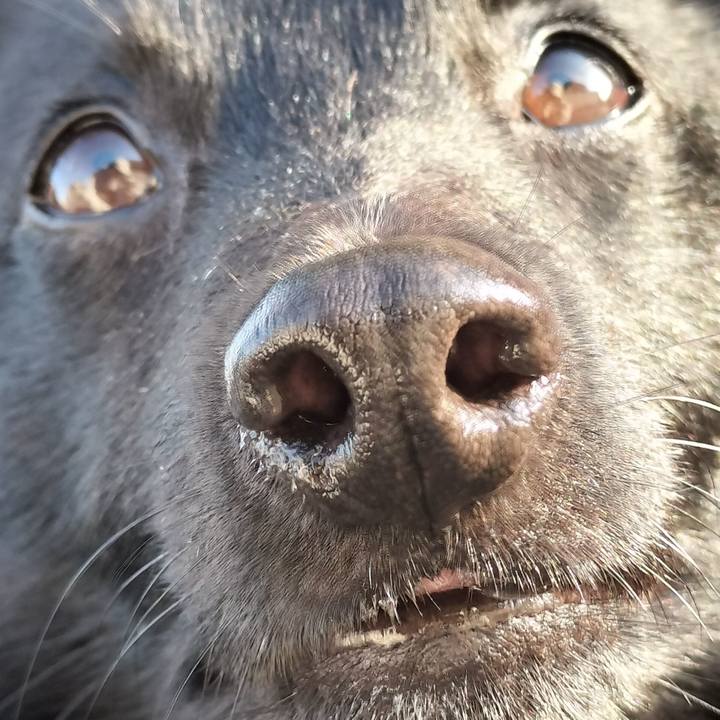 6bde3fe1 6df2 48f3 a893 9dd951ea8750 1714601192601