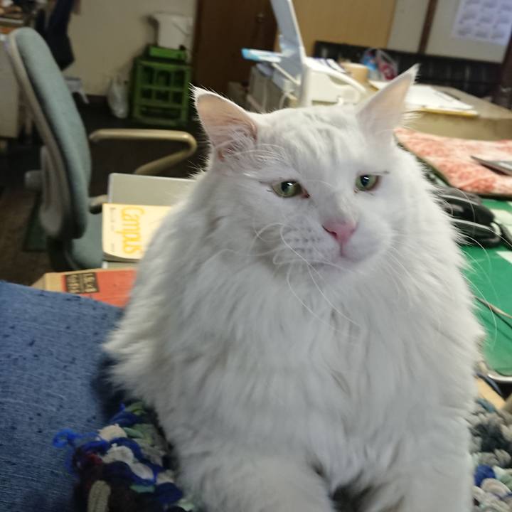 6bde599a 1695 4d66 ad6e 10fbe0d1f4ac 1547592059452