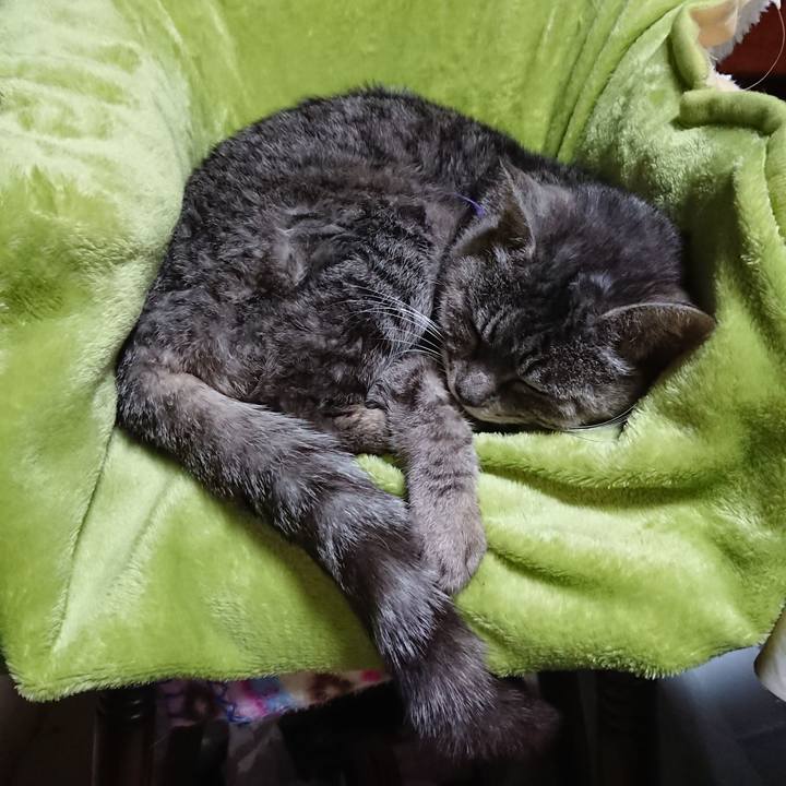 6bde6137 9a08 4a69 afb8 9a89501251de 1582362026552