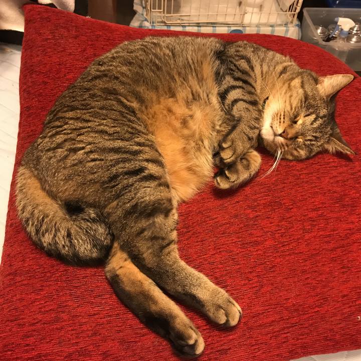 6bde6a05 29e1 4ffa aef2 d6f73021a894 1528032166178