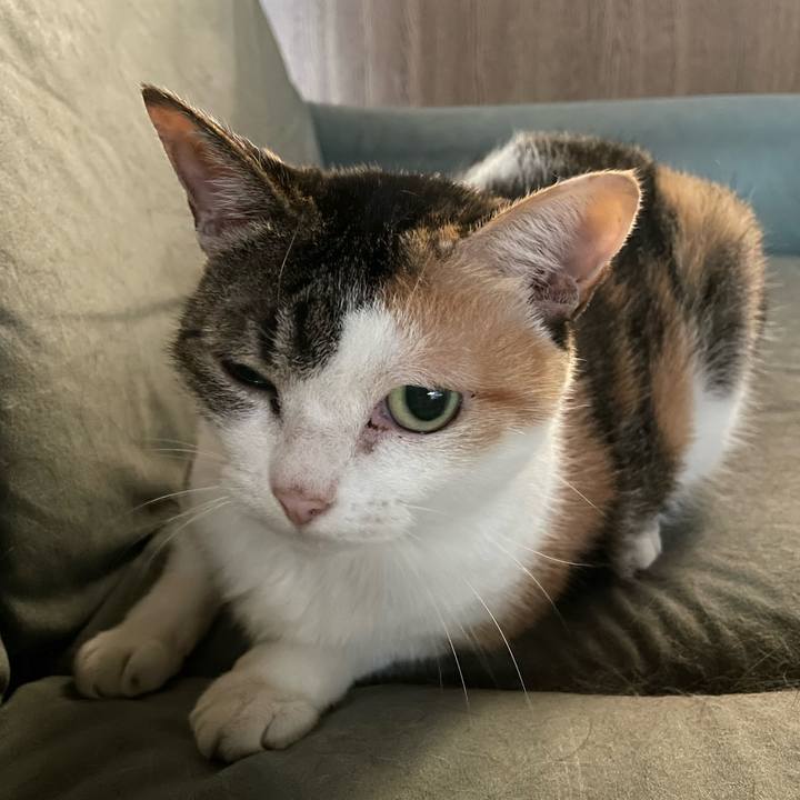 6bde6e89 cfd9 4589 b883 4047df8b5dff 1727080442181