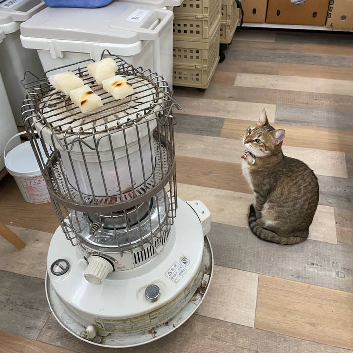 6bde75cb 182f 4722 9713 507e90b842ad 1701433380561