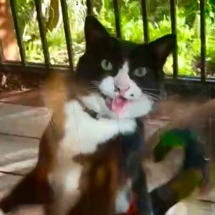 6bdeb685 5938 42ca 8e9d af5b45ce0735 1744633375260