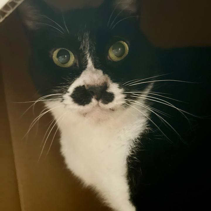 6bdecee7 c4ad 409e b725 deac79e27d55 1710663908476