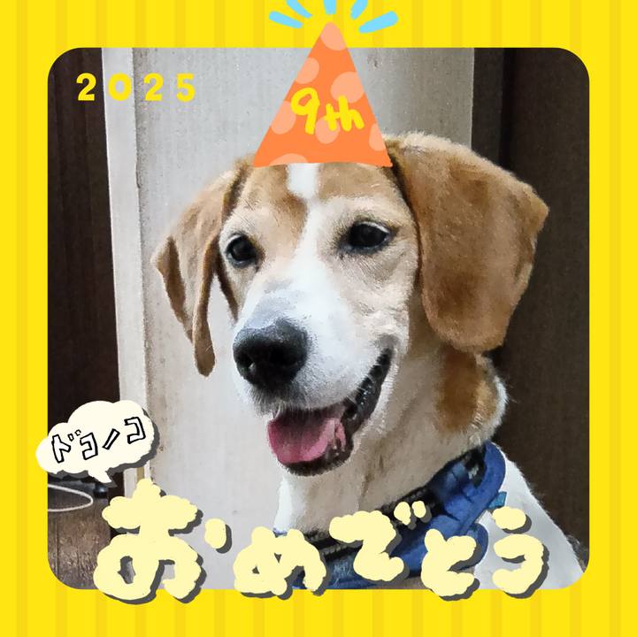 6bdeda06 7006 4f31 b425 33e676ef2ae4 1749103948380