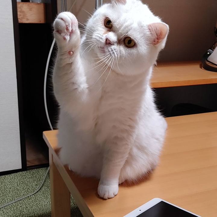 6bdf6d48 ac81 45df 8c43 b15eba518eb4 1654174316415