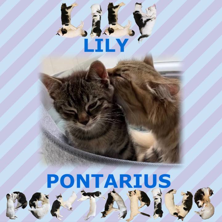 6bdf892e 8a9f 42e8 a1bd 39a75f695a4f 1667739208581