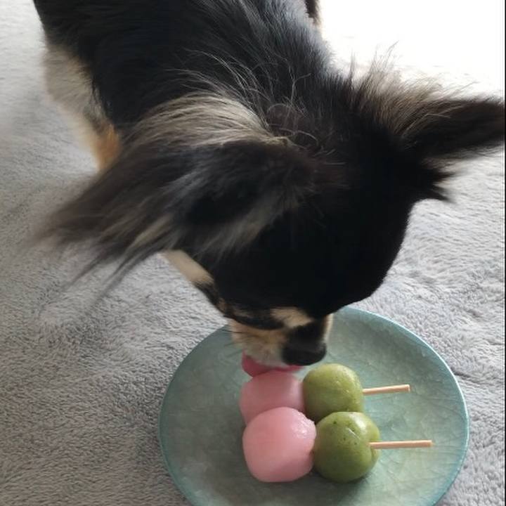 6bdf8da7 1598 4f21 b5c3 a44f26fc99da 1582974728675