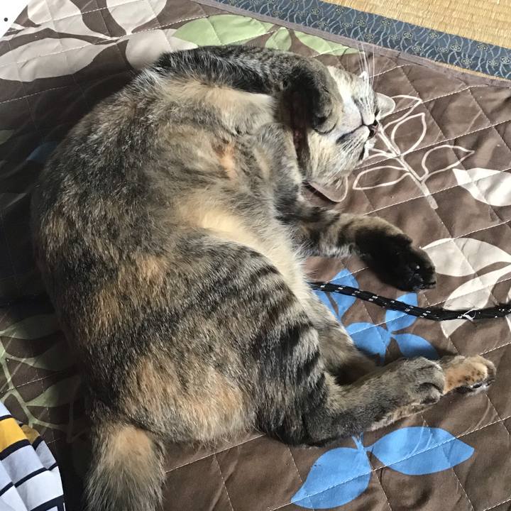 6bdf919e e3a2 44c8 a9ab b510dc9da412 1589079057089