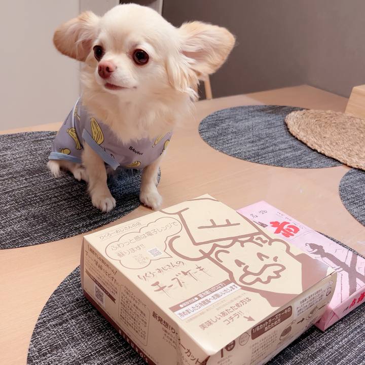 6bdfd96d 2474 4efd bbac b4a37c6c6846 1718720443768