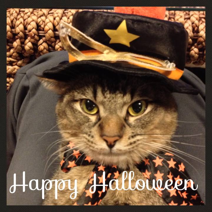 6bdfdf29 cd59 48a2 b6d4 8483528128be 1509338205790