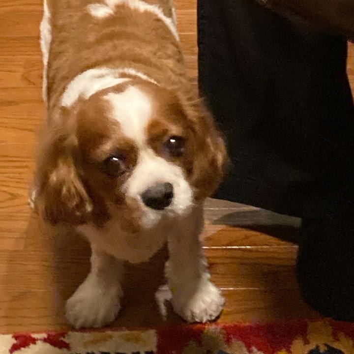 6bdfe008 22c2 4d2c 9d42 b5b17825fbf2 1756696008154