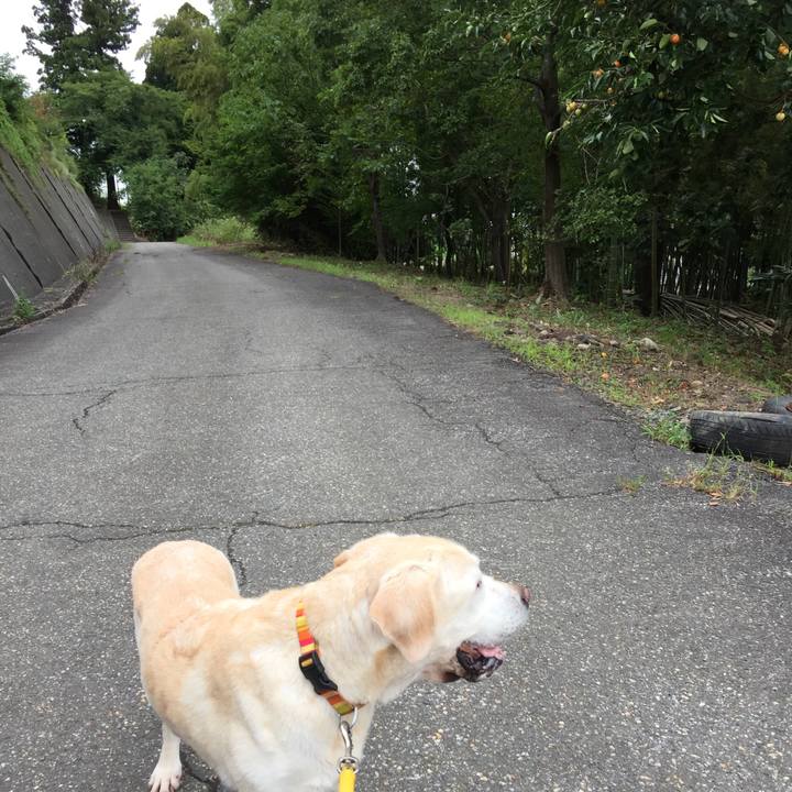 6bdff56f af10 4ade 9c3d 2c161535ed35 1537050215895