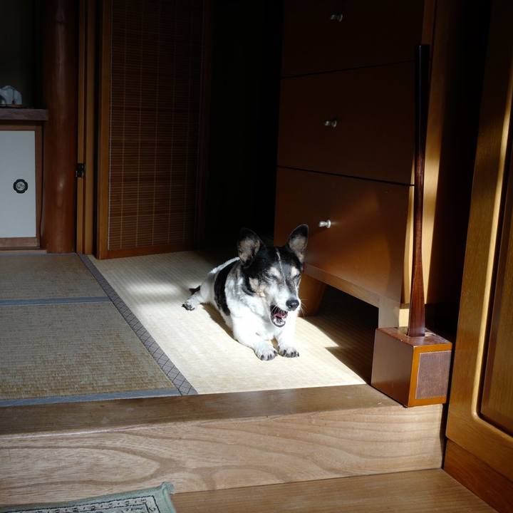 6bdffea8 a0a1 4385 839f 7f51790012bc 1571630009591