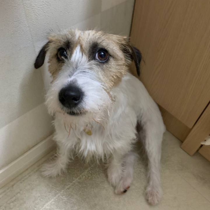 6be00448 0666 4f62 8036 41bf1a30ad51 1622770885851