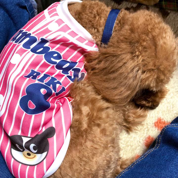 6be00ce5 aaf6 4de6 9537 a18d61094fc0 1555391910933