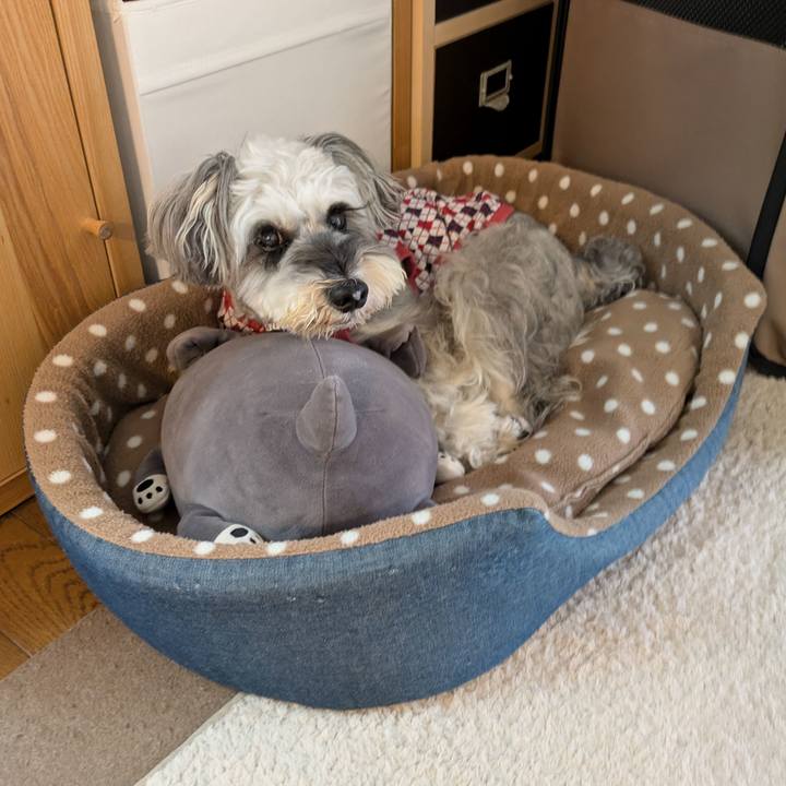 6be01097 82b0 473f 9913 09a2ac7d4902 1761184835344