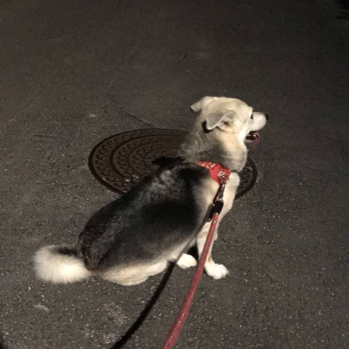 6be04157 1399 4068 b546 a9030311608b 1593006259538