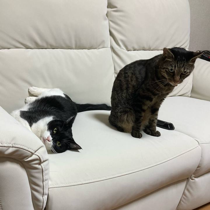 6be0518b 6999 4748 86c9 0e951157e0dd 1728196737057