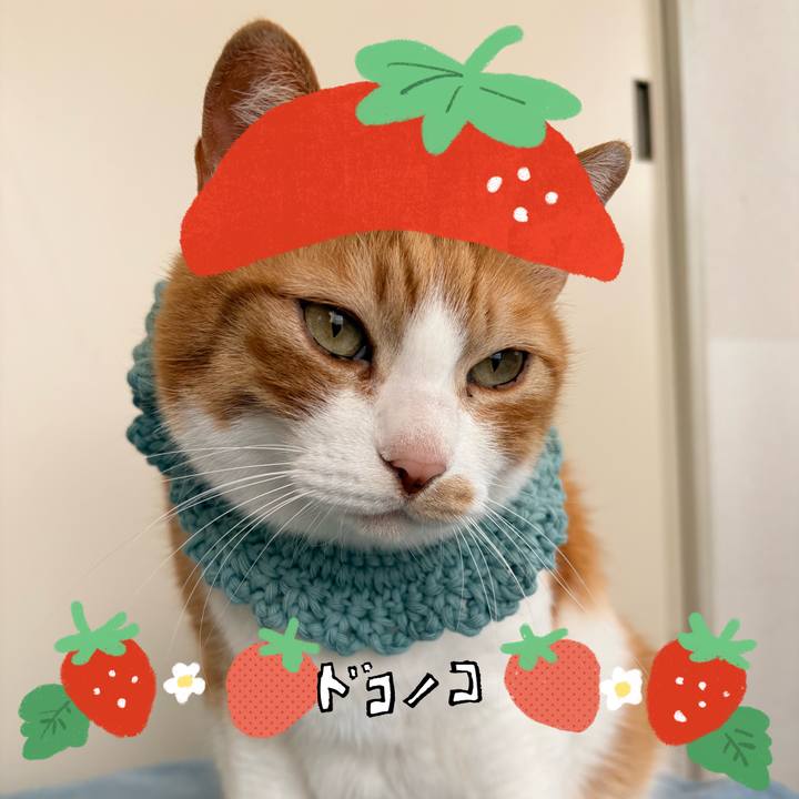 6be07274 e3d1 4186 83c6 0f2fa460d042 1775526694654