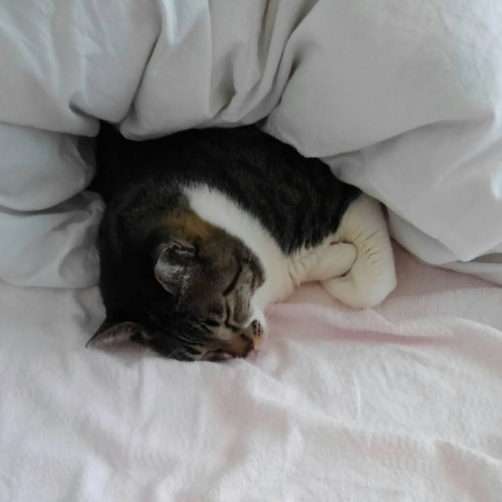 6be08152 c404 40b5 a15c 6ffa9bb8b4c4 1513722471040