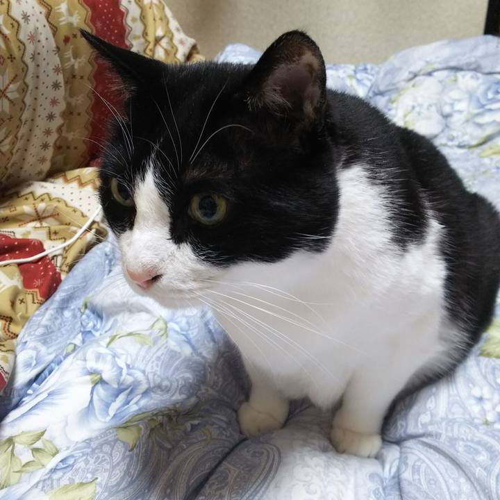 6be0a0e9 7417 41e9 b5a6 742b9d88285d 1547070565515