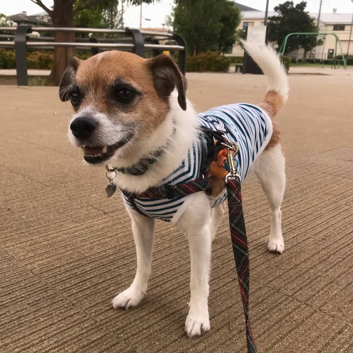 6be0bb20 bc34 4533 94d8 b4498d59aa4a 1531302545626