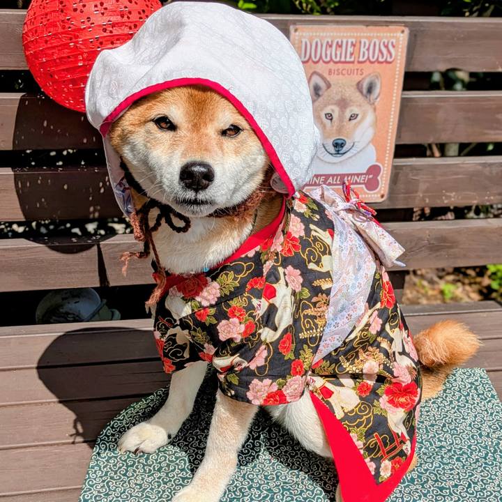 6be0f4f9 335b 4b4d 8323 5074fc558924 1748766154359