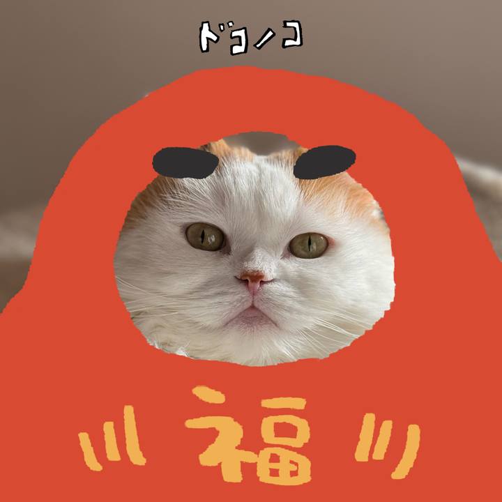 6be15598 3e51 44de 9749 8964030669de 1771878927934