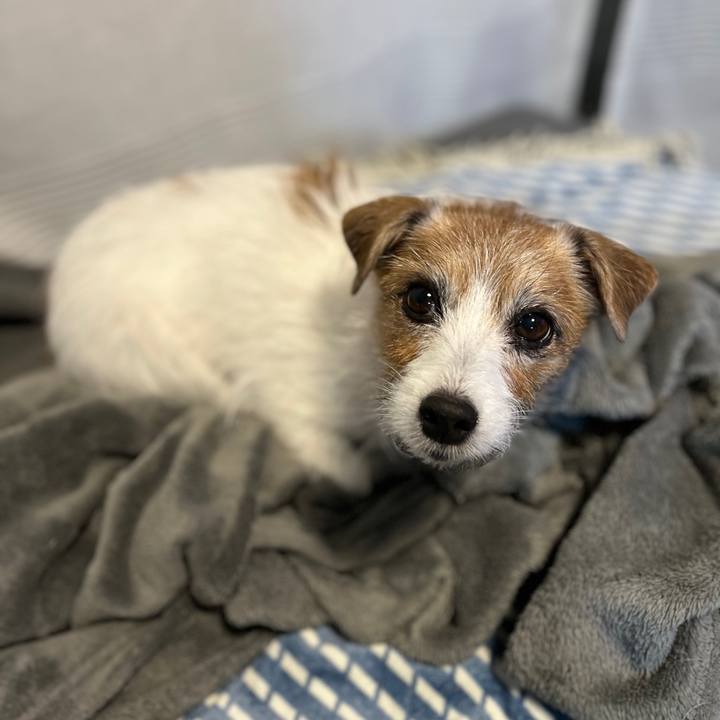 6be16160 6e49 4d15 8b3a 8915b7e5b163 1730723760796