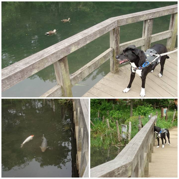 6be16f3f e098 482a 9a55 516ecfd655fc 1650762821108