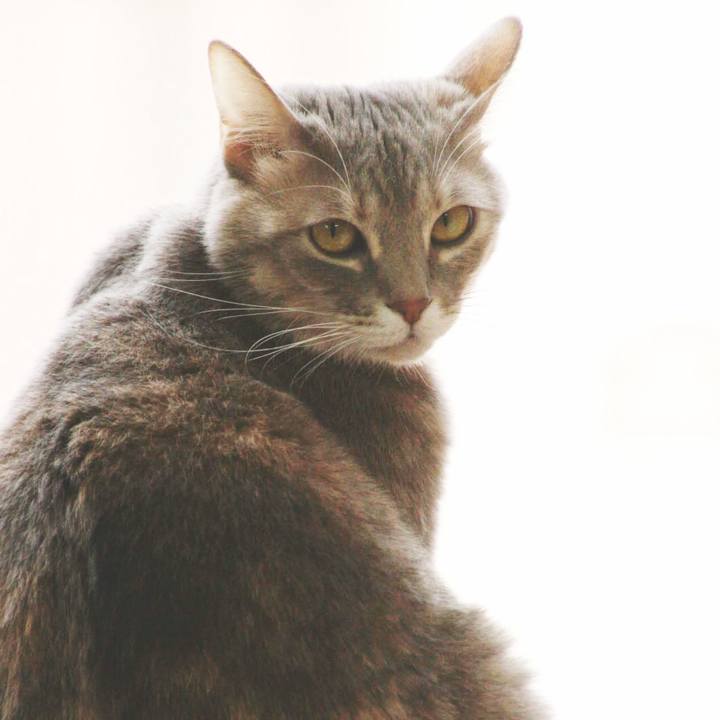 6be186ed 91b8 4121 bc2b a6f81a8e4981 1547171661555