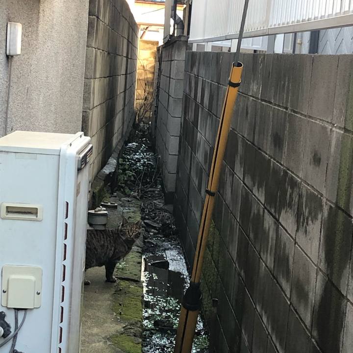 6be1934d 5f16 450e 9ab5 910933fa57f2 1552336484730