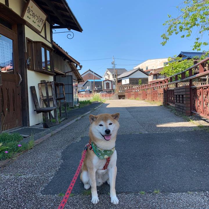 6be1966f 0cf5 4325 8e07 35e1e51fc76f 1590655517192