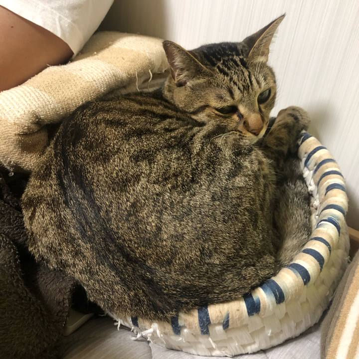 6be1a4af 0e61 4b13 9e15 33f53b0b6477 1596002993700