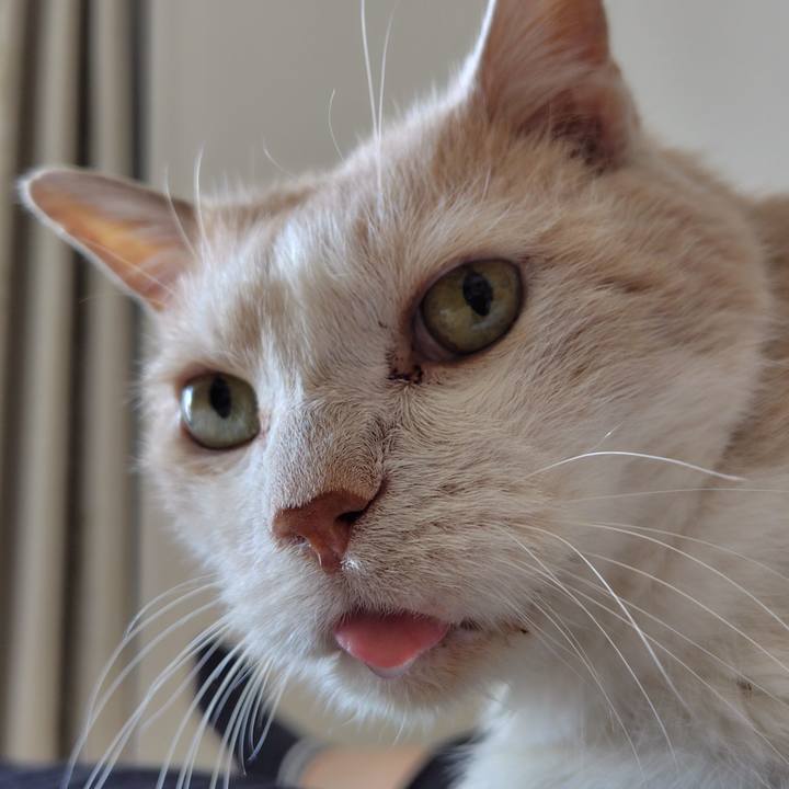 6be1ecb0 ec8f 47ba 8ac4 3b287aa6b9b3 1753327018485