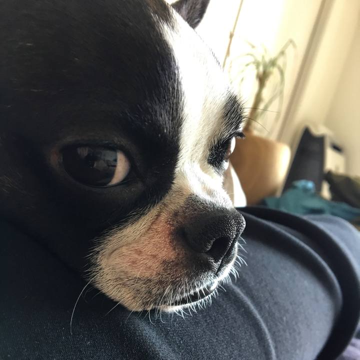 6be204ad e934 43a2 9e45 b2aa84bac9c1 1524024004832